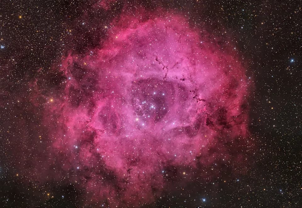 Sami za Dan zaljubljenih? Svemir vam poklanja kosmičku ružu — Roseta Nebula (foto)