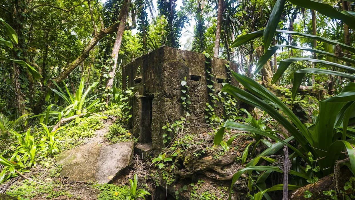 Otkriveno 5.000-godišnje utvrđenje u šumama okruga Neamț — LiDAR razotkrio zaboravljeno naselje