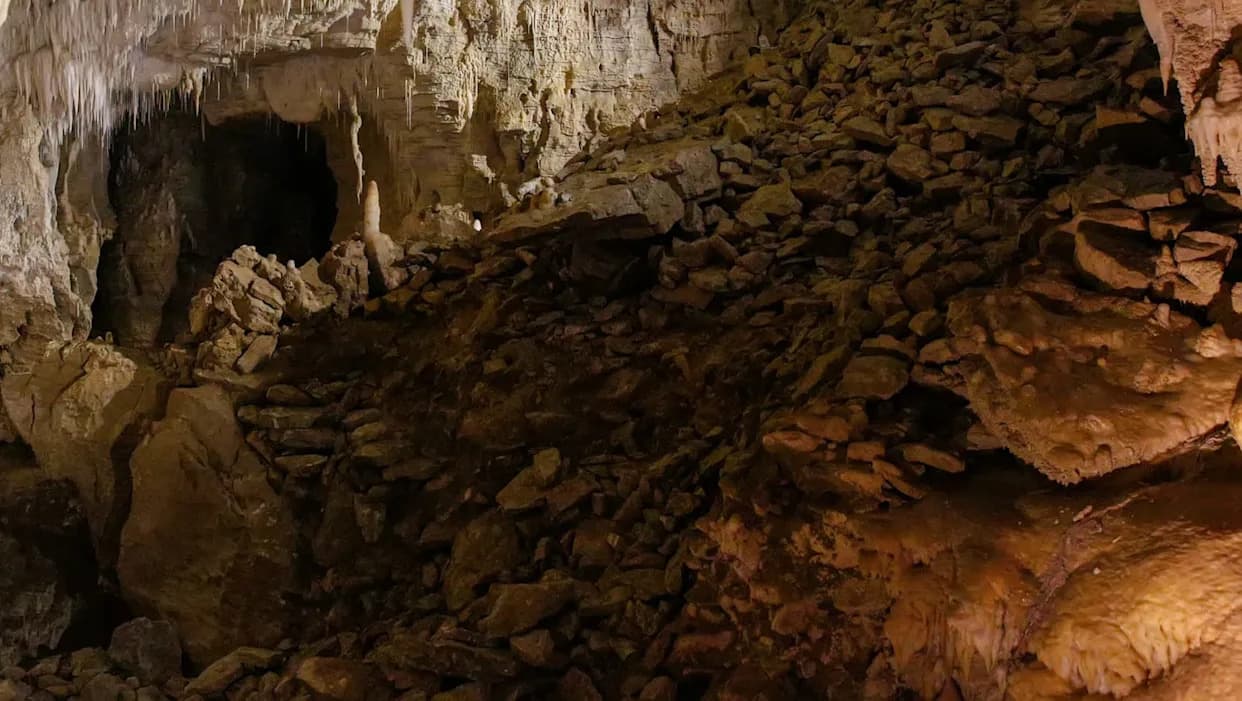 Drevni fosili otkriveni u Moa Eggshell pećini: „Nije to bilo izgubljeno poglavlje — bio je to izgubljeni tom“