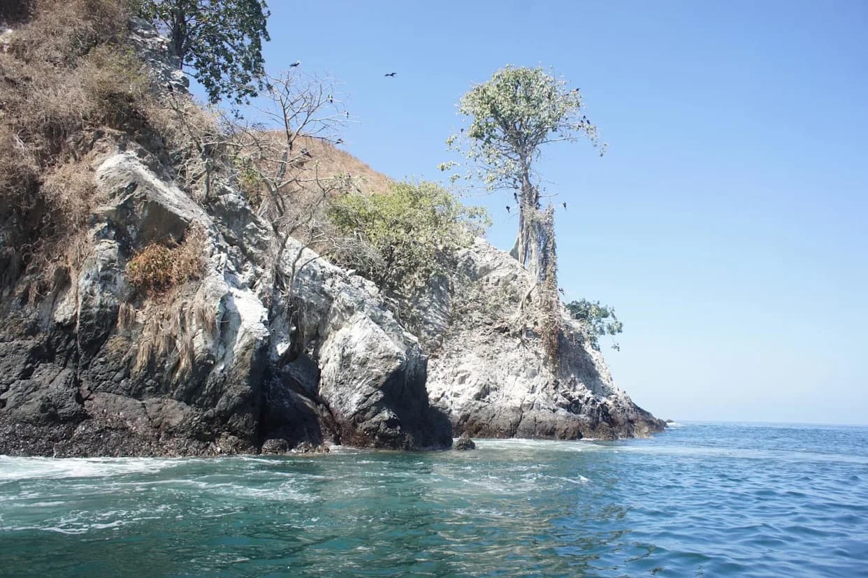 Otkriven Izvor „Belog Zlata“: Guano Se Koristio Za Đubrenje Još 1250. U Chincha Valeju