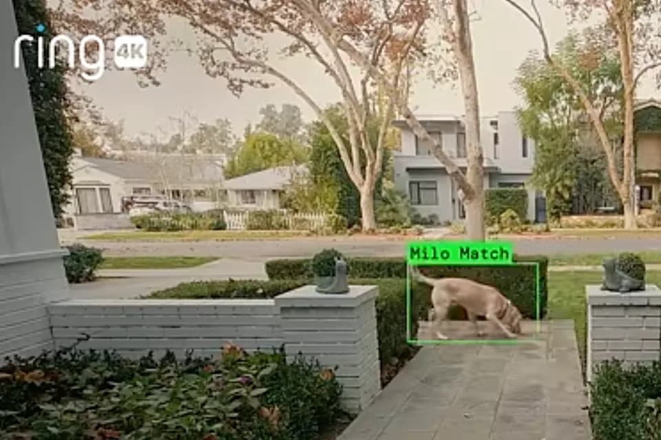 Procurio mejl: CEO Ring-a spominje slučaj Charlieja Kirka dok najavljuje širenje funkcije „Search Party”