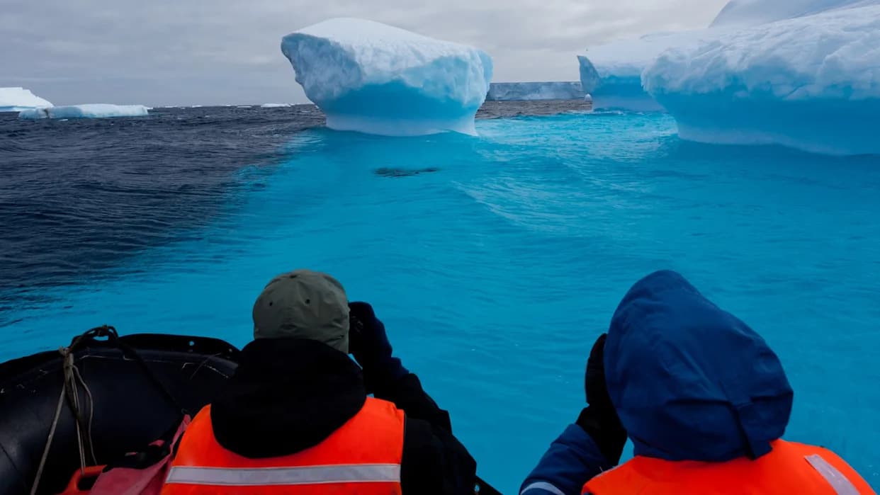 Zapanjujuće otkriće: Sleeper ajkula snimljena kod Južnoshetlandskih ostrva — "Ove stvari su tenkovi"