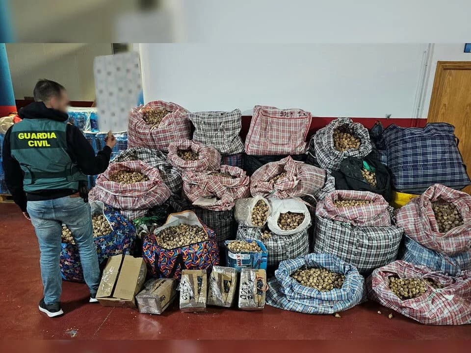 Tri uhapšena u Španiji zbog slanja osušenih kapsula opijumskog maka poštom — pošiljke i za SAD