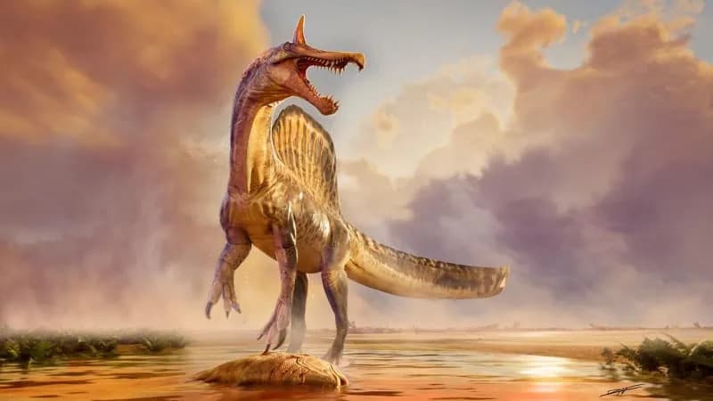 „Paklena čaplja“: Otkriven Spinosaurus mirabilis u centralnoj Sahari