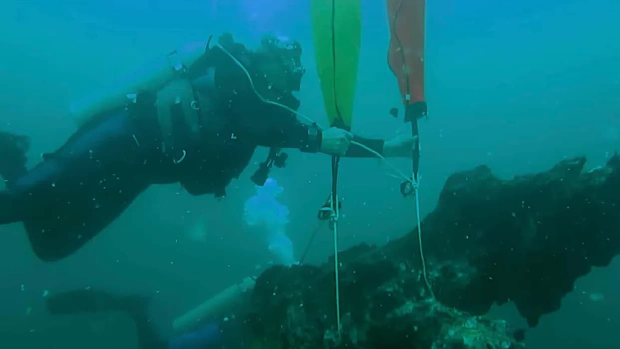 Retki uvid u prošle klimatske šokove: podvodna šuma cypresa otkriva nagli pomor i klimatske rizike