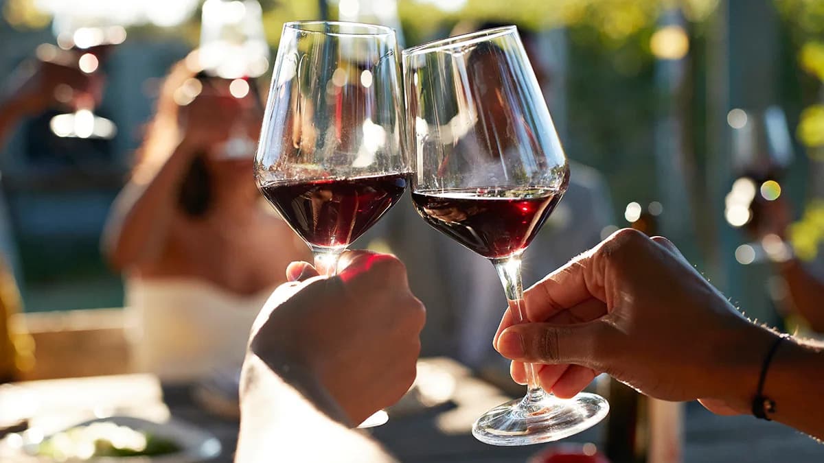 Samo Nekoliko Čaša Menja Kako Mozak 'Priča' Sa Sobom, Pokazalo Istraživanje