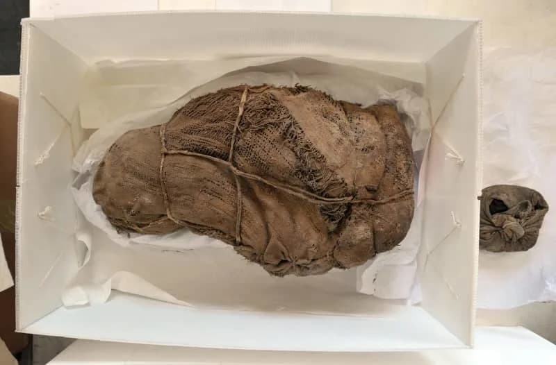 CT skenovi otkrivaju tajne mumificirane dece Inka s Vulkana Ampato i Sara Sara