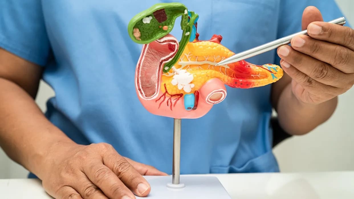 PanMETAI: AI Platforma Za Rano Otkrivanje Raka Pankreasa Sa Visokom Tačnošću