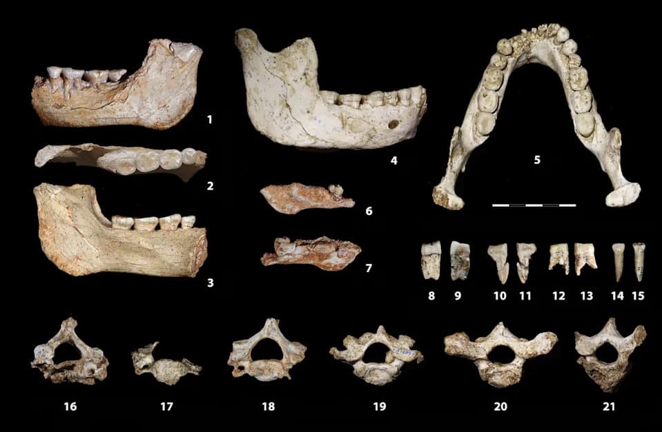 Fosili iz Maroka stari ~773.000 godina otkrivaju ključni period ljudske evolucije
