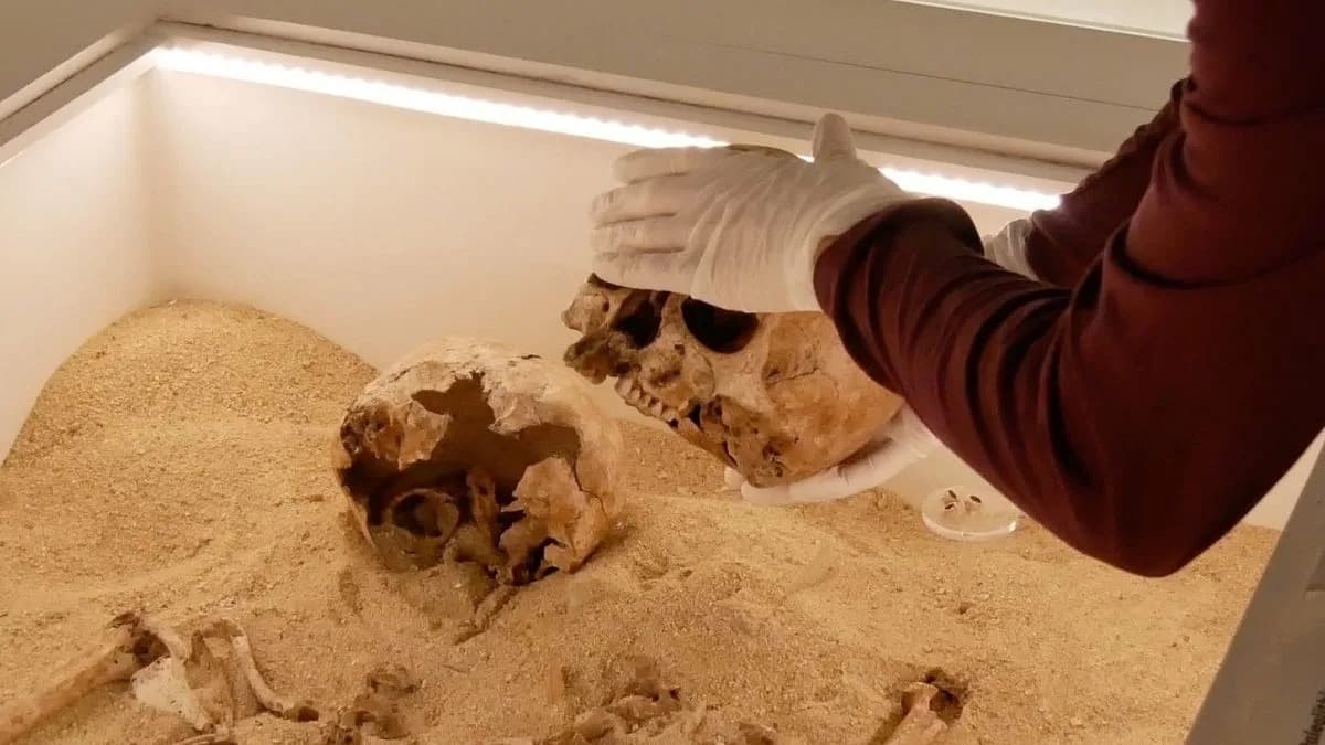 Praistorijski zagrljaj iz Ledenog doba otkriva najraniji slučaj retke genske bolesti (AMDM)