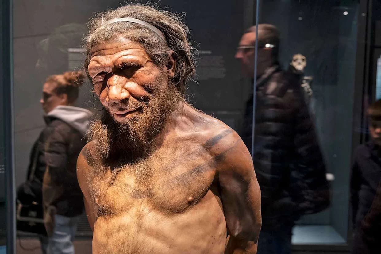 Nova studija: Većina ukrštanja bila između neandertalskih muškaraca i ljudskih žena