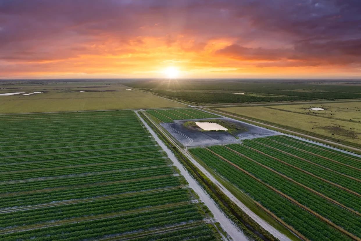 5 načina na koje biotehnologija već jača globalnu proizvodnju hrane