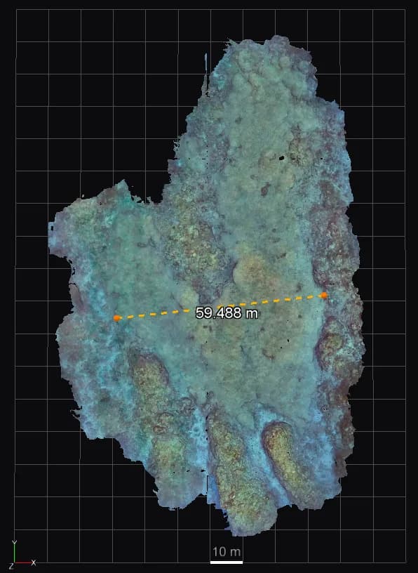 Otkrivena Najveća Dokumentovana Koralna Kolonija Na Velikom Koralnom Grebenu