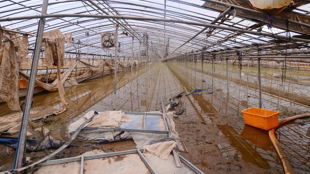 Oluja „Kristin“ Poplavila Staklenike u Almeriji — Veliki Gubici Useva i Rizik Za Snabdevanje Povrćem