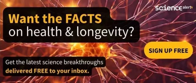 Tajni sastojak superagera: pojačana neurogeneza koja čuva pamćenje