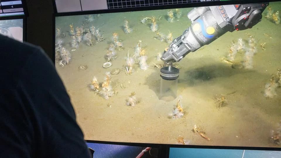 Otkriveni Asgard Mikrobi U Priobalnim Sedimentima — Novi Dokazi Da Su Preci Eukariota Koristili Kiseonik