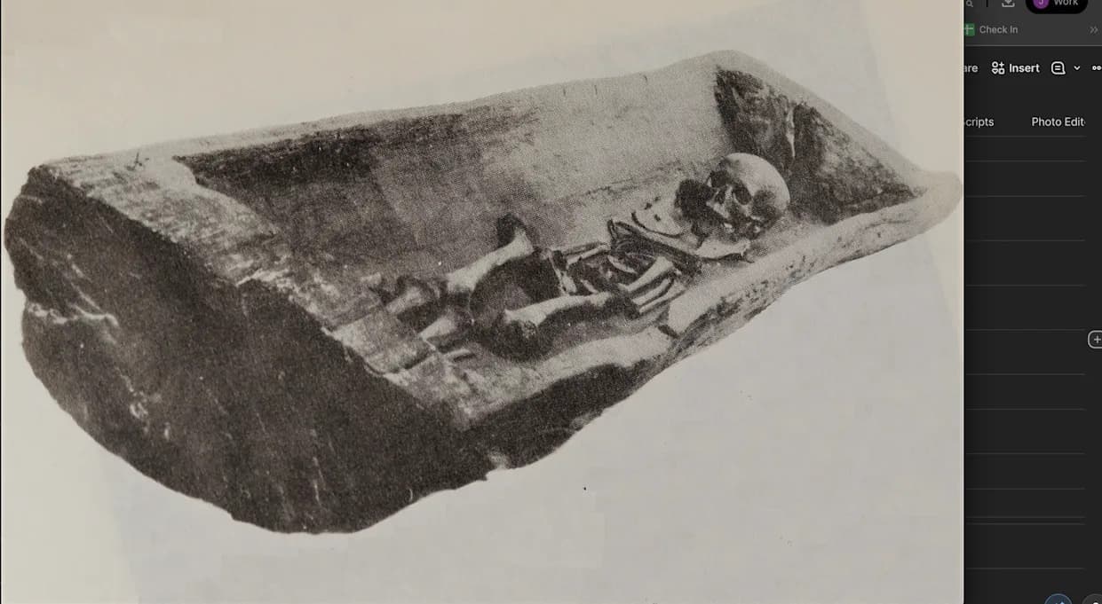 Kovčeg Koji Je Pao Sa Litice Otkrio Stogodišnju Zagonetku: Dendrokronologija Razrešila Misteriju