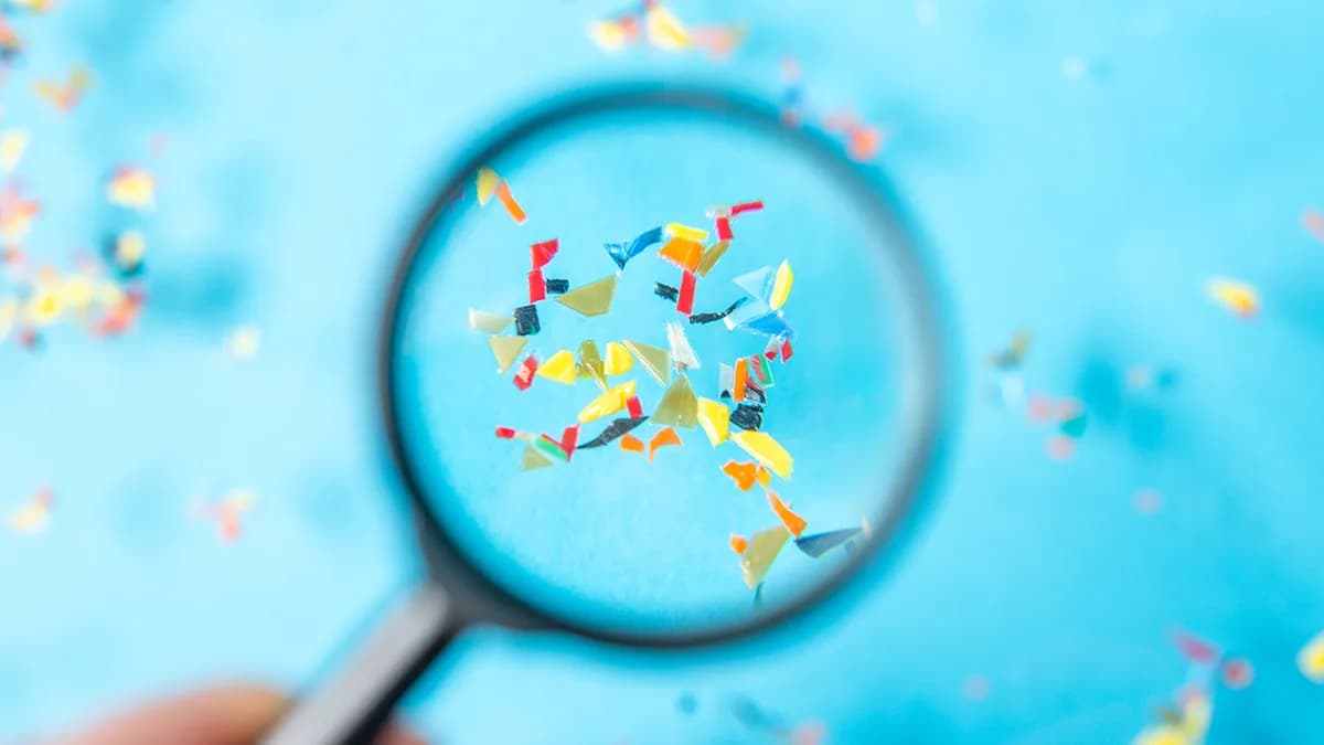 Mikroplastika Može Podsticati Parkinsonovu Bolest — Naučnici Upozoravaju