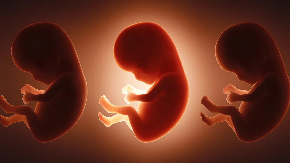 Studija Otkriva: Fetusi Izloženi 42 „Večne“ Hemikalije Pre Rođenja — Ranije Procene Potcenile Rizik