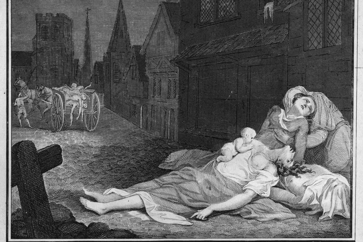 Neočekivani efekat Crne smrti: zašto je pandemija smanjila biljni diverzitet u Evropi