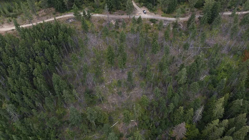 Kako Proređivanje Šume Može Povećati Zalihe Pitke Vode