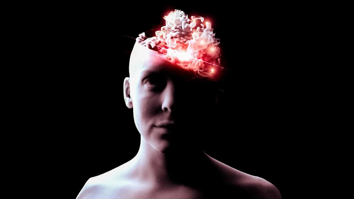 Gde "Boravi" Svest? Hibridne MRI‑PET Snimke Otkrivaju Ključne Moždane Regije