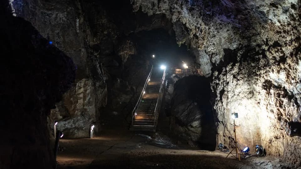 Digitalna rekonstrukcija otkriva lice Little Foota — gotovo kompletan skelet Australopithecusa star 3,67 miliona godina