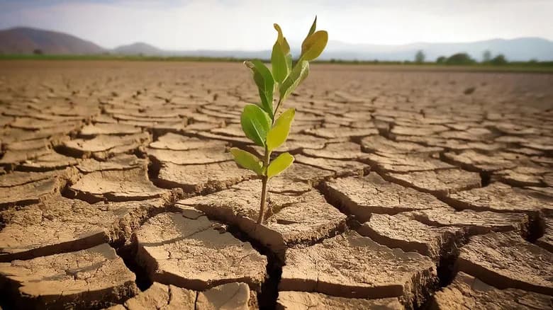 Kina Pretvara Pustinje U Plodno Tlo — Cijanobakterije Skratiće Proces Na 2–3 Godine