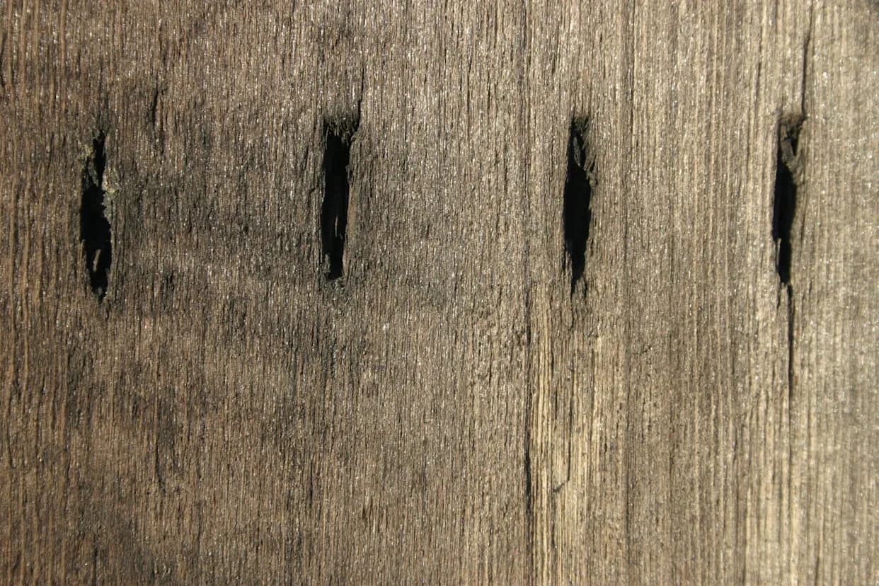 Otkriveni Najstariji Simboli Koji Podsećaju Na Pismo: Lovci-Skupljači Urezivali Kompleksne Znakove Pre 40.000 Godina