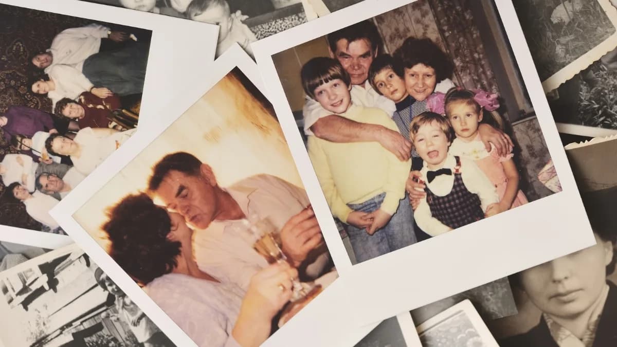 Jedna Izloženost Vinclozolinu Tokom Trudnoće Povećava Rizik Od Bolesti U Sledećih 20 Generacija Pacova