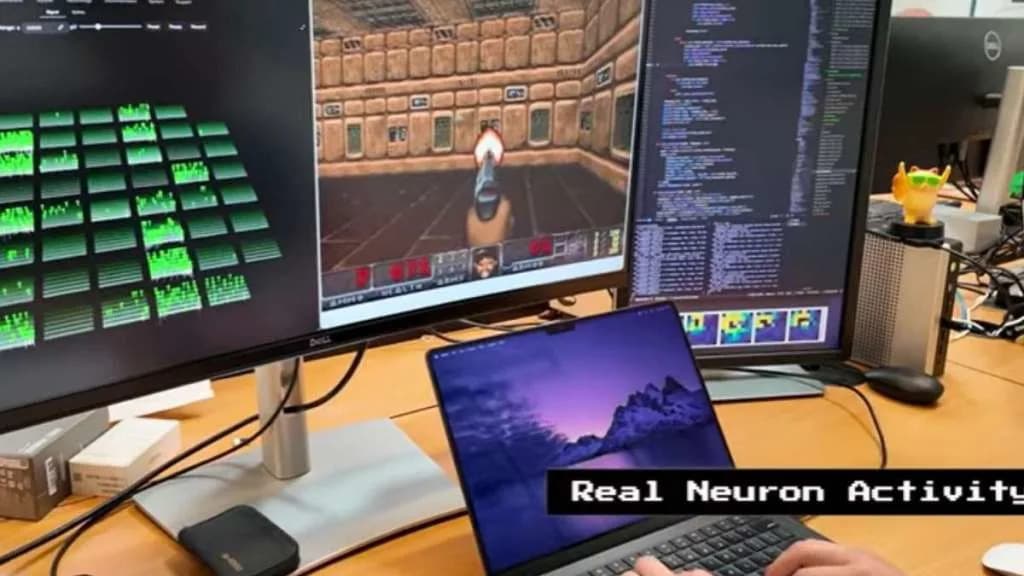 800.000 moždanih ćelija u petri tanjiru igra Doom — biološki „računar" koji je zaintrigirao internet