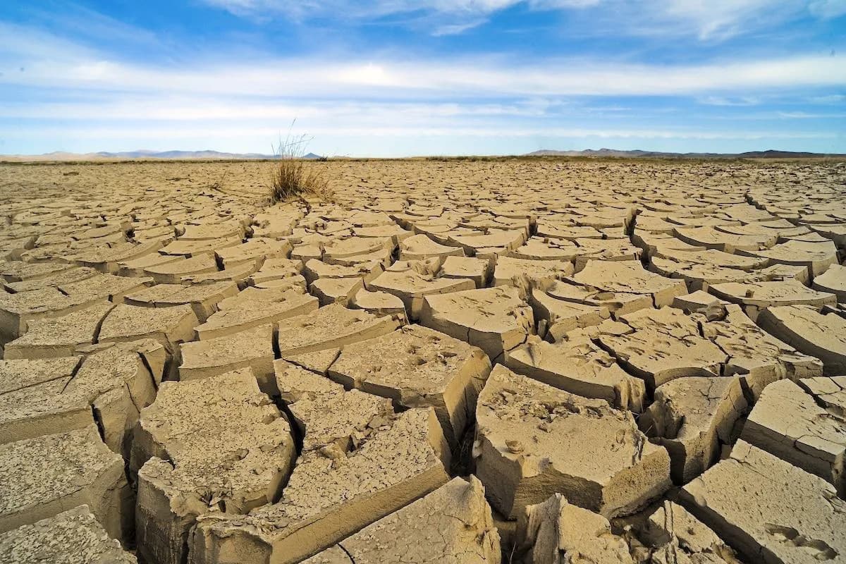 Globalno zagrevanje se ubrzava — studija upozorava na rekordne nivoe CO2 i rizik prekoračenja Pariškog cilja