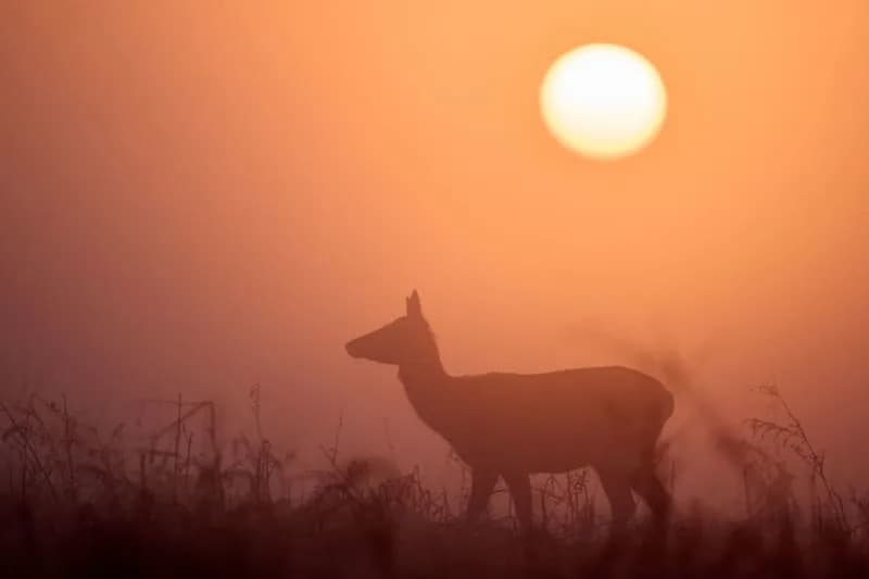 Iako Je Evropa Bila Hladna, Februar Je Bio Peti Najtopliji Globalno — Copernicus