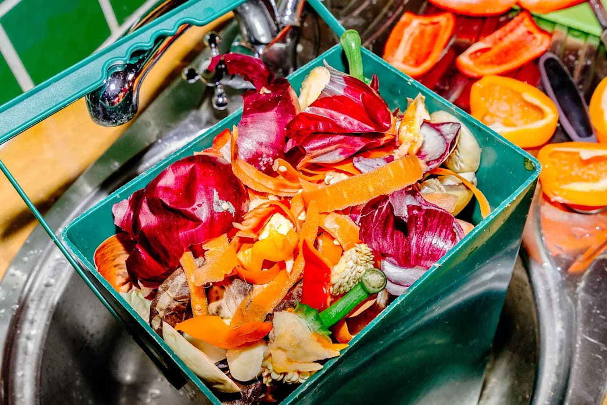 Kako Otpad Može Nahraniti 10 Milijardi Ljudi Do 2050: Gljive, Fermentacija i Cirkularna Bioekonomija