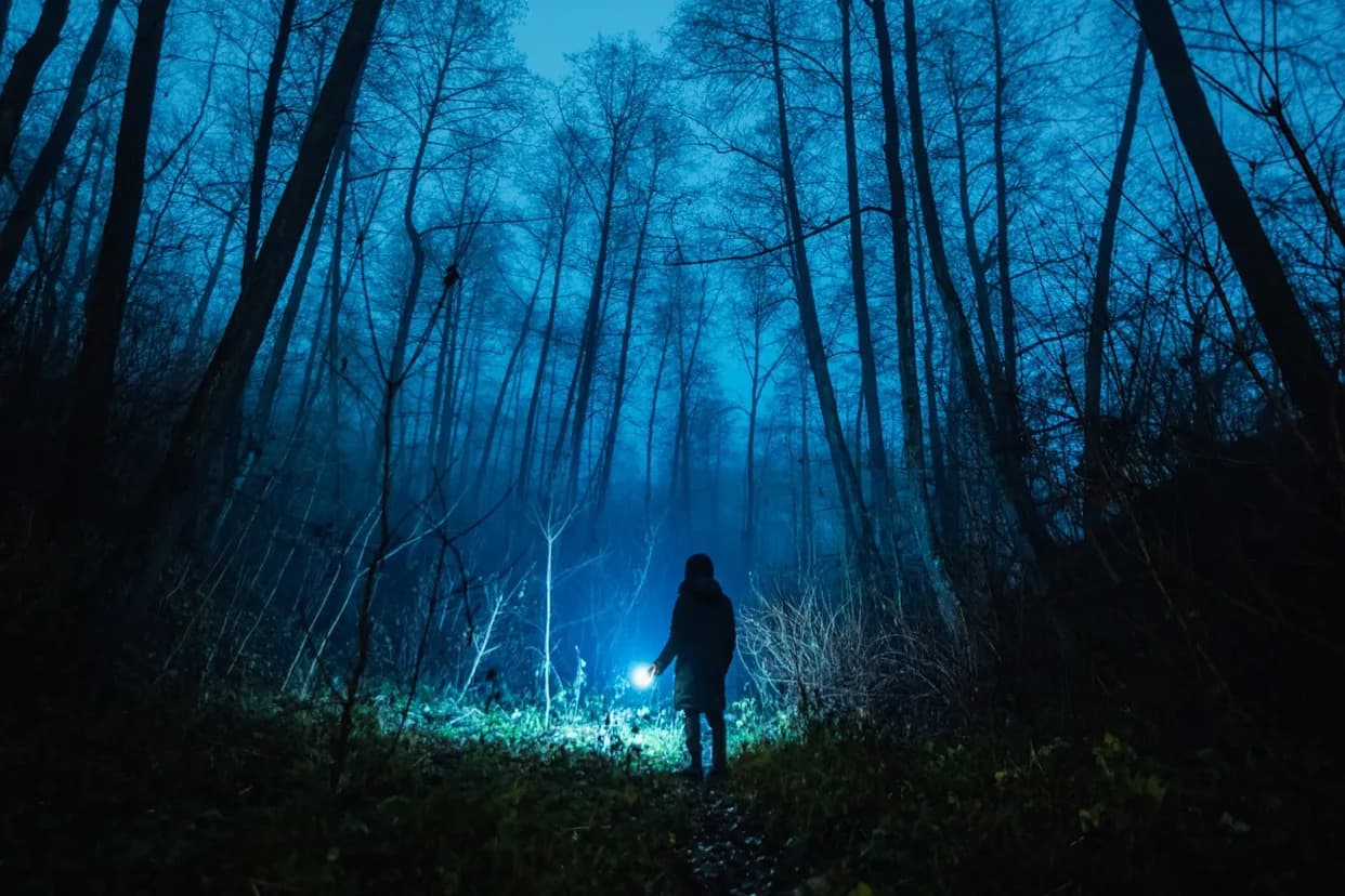 Kako Je DNK Javora Razotkrio Krijumčara: Prvi Slučaj Upotrebe DNK Drveta u Sudu