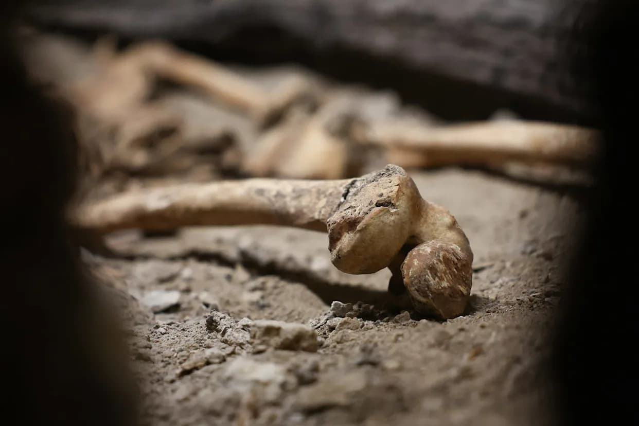 Kanibalizam među neandertalcima iz Goyeta: Analiza 41.000–45.000 godina starih kostiju sugeriše sukob između grupa