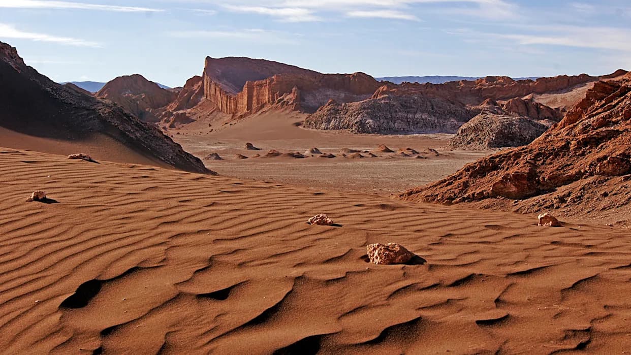 Neočekivana raznolikost nematoda u najsušnijoj pustinji: šta otkrivaju uzorci iz Atakame