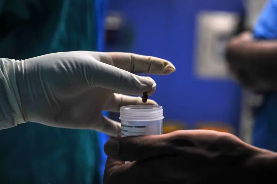 Albumin Može Štititi Od Smrtonosne Mukormikoze, Pokazuje Studija Objavljena U Nature