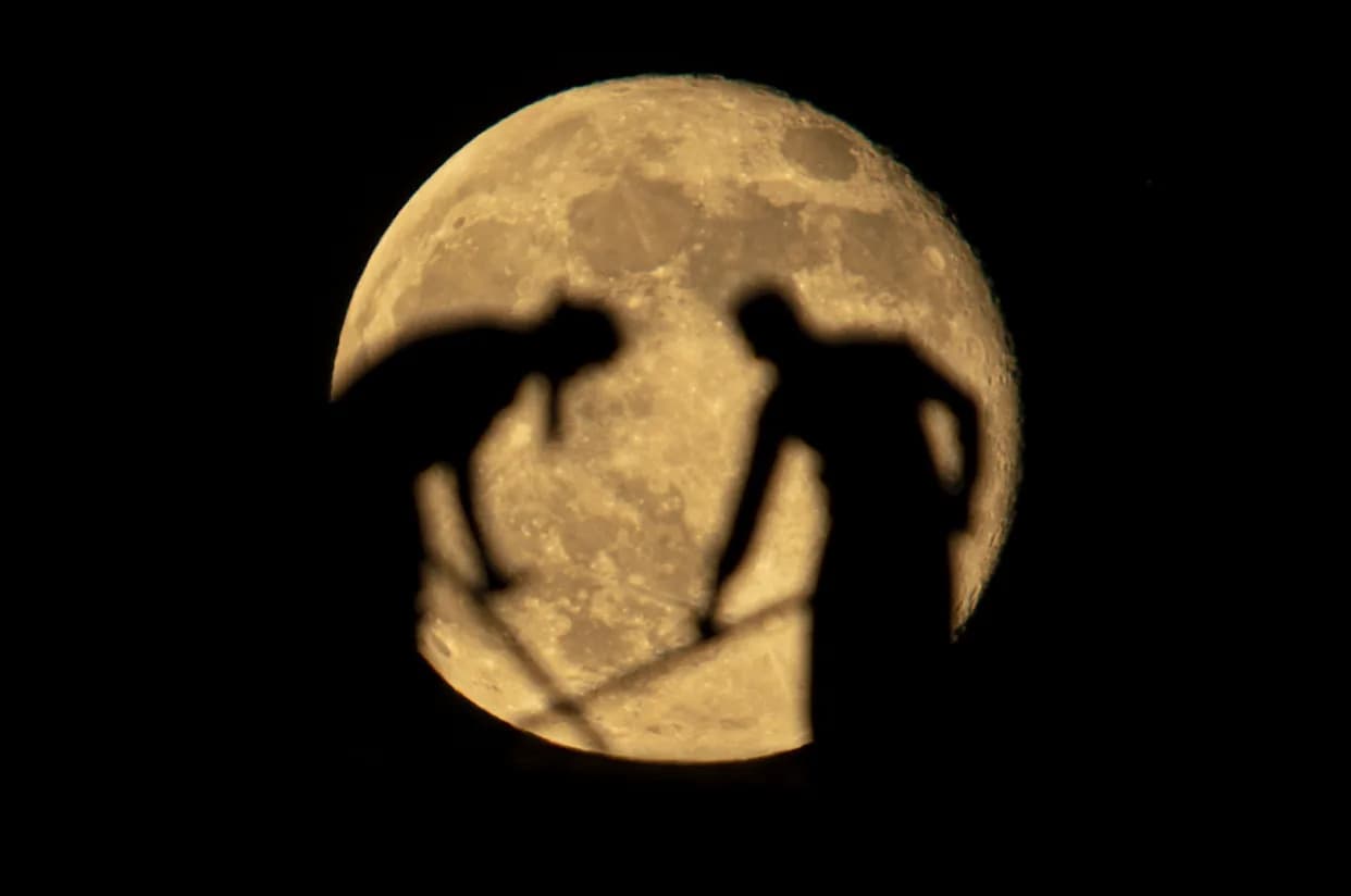 Mahovina Koja Ne Laže: Kako Je Botaničar Pomogao FBI‑ju Da Reši Slučaj Krađe Grobova