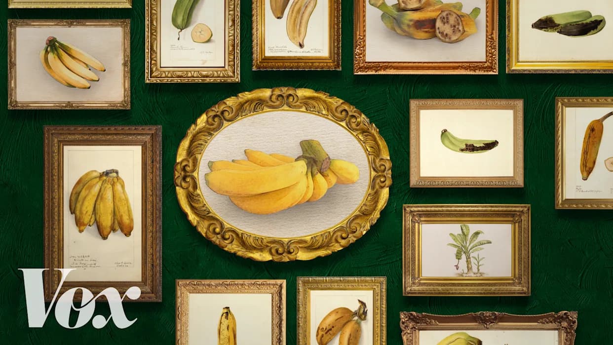 Cavendish Pod Pretnjom: Može Li Najpopularnije Voće Na Svetu Nestati?