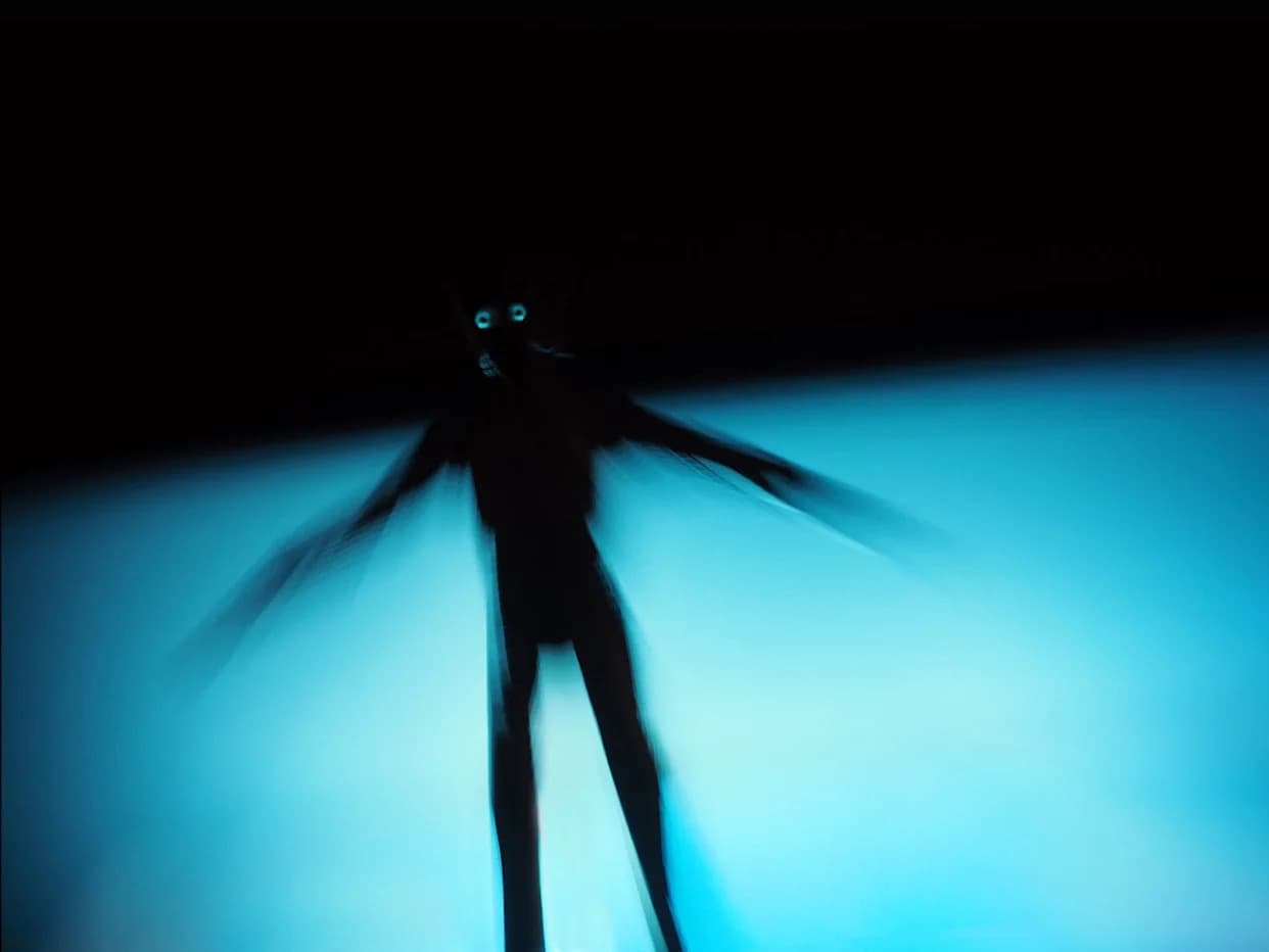 Ljudi Vide Iste „Senke‑Ljude“, Kažu Naučnici — Mračne Vizije Koje Nas Mogu Spasiti