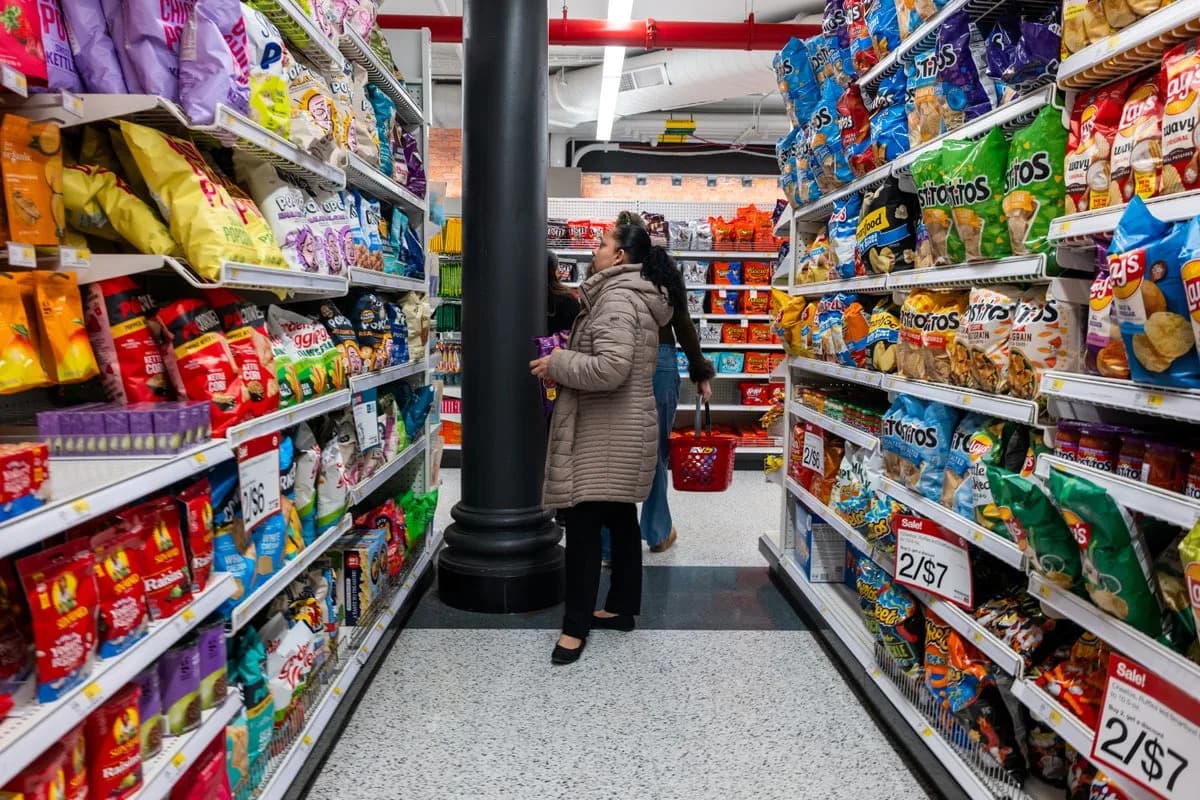 Previše Masnoća U Ishrani Može Dozvoliti Bakterijama Iz Creva Da Uđu U Mozak — Studija Na Miševima