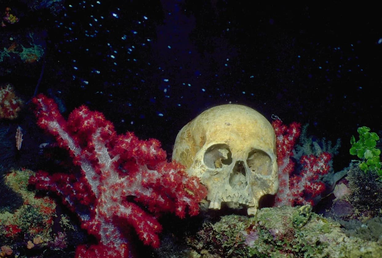 Tajna iz dubine: Skelet star najmanje 8.000 godina otkriven u cenotu na Jukatanu