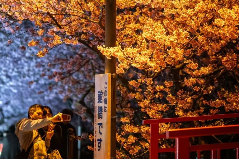 Pad Kineskih Turista U Japanu 45,2% U Februaru 2025 — Diplomatija Pogađa Turizam