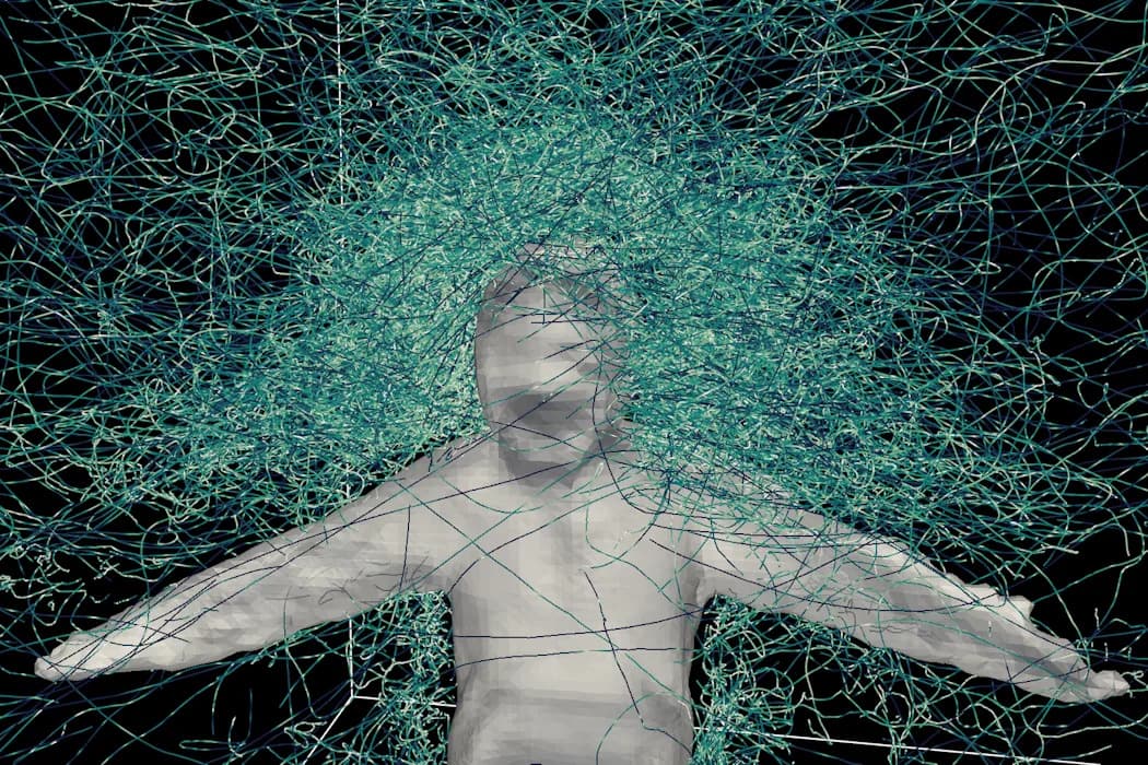 Kako Nas Komarci Pronalaze: Georgia Tech, Student-Volonter i Model Na 20 Miliona Podataka