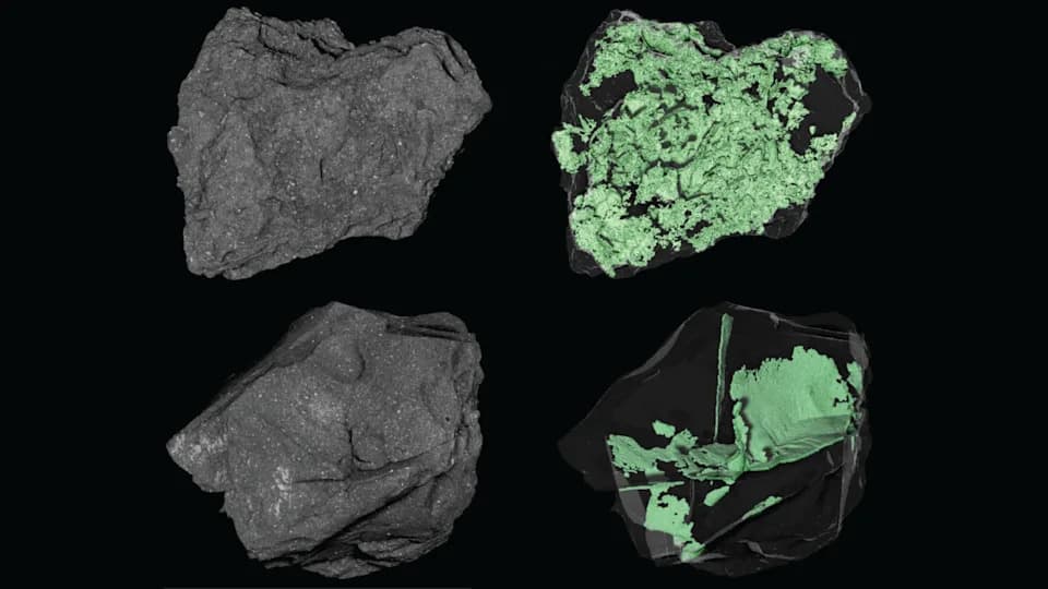 NASA Zavirila U Bennu — Rendgenski Snimci Otkrivaju Gustu Mrežu Pukotina