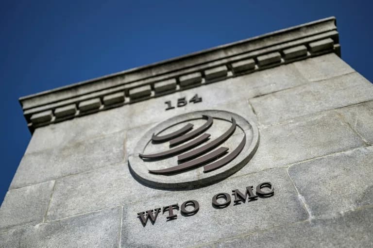 WTO u Jaundeu 26.–29. marta: Prekretnica Ili Pokušaj Da Se Ograniči Šteta?