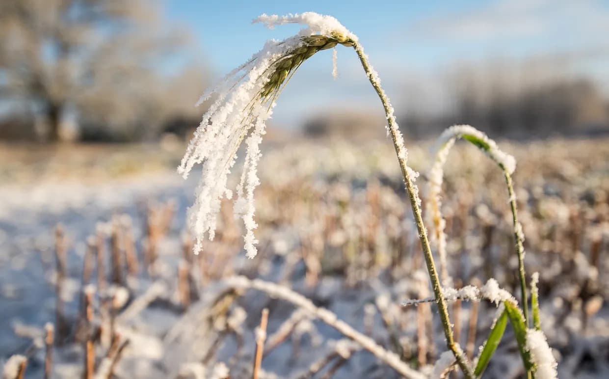 Novo istraživanje: ‘Hladni šokovi’ povezani s porastom nasilja među partnerima