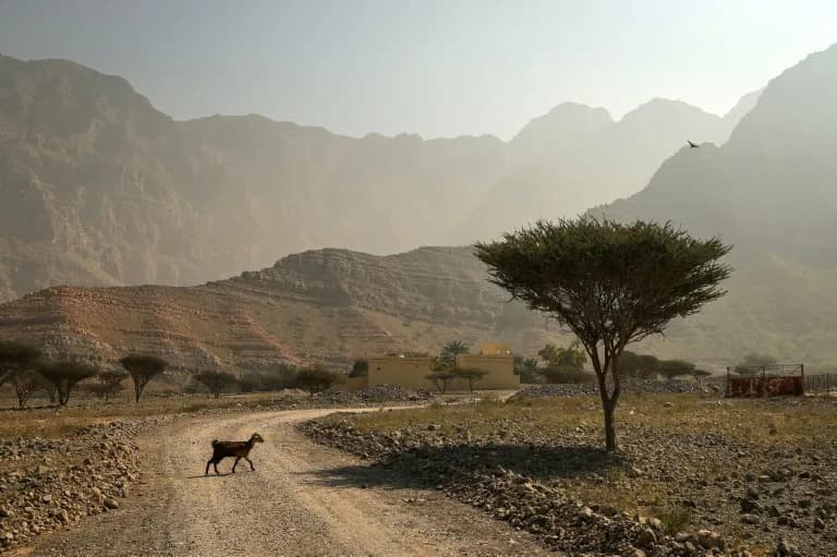 UN: 2025. Rekordna Po "Zarobljenoj" Toploti — Okeani Apsorbuju 91% Viška