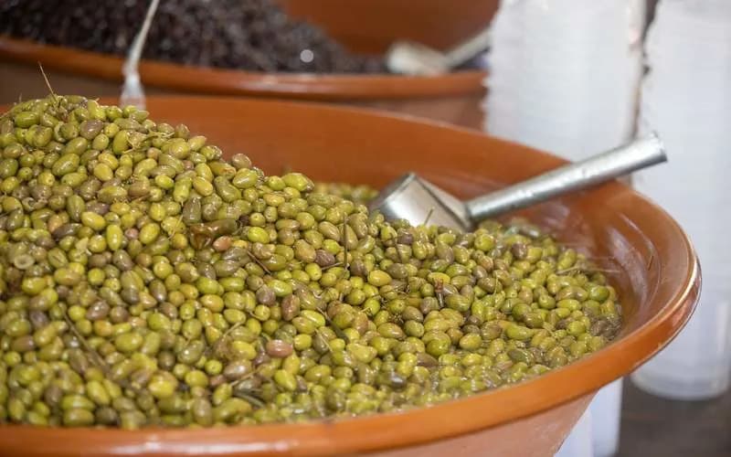 Nova BMJ Studija: Mediteranska Ishrana Povezana Sa Sporijim Smanjenjem Sive Mase Mozga